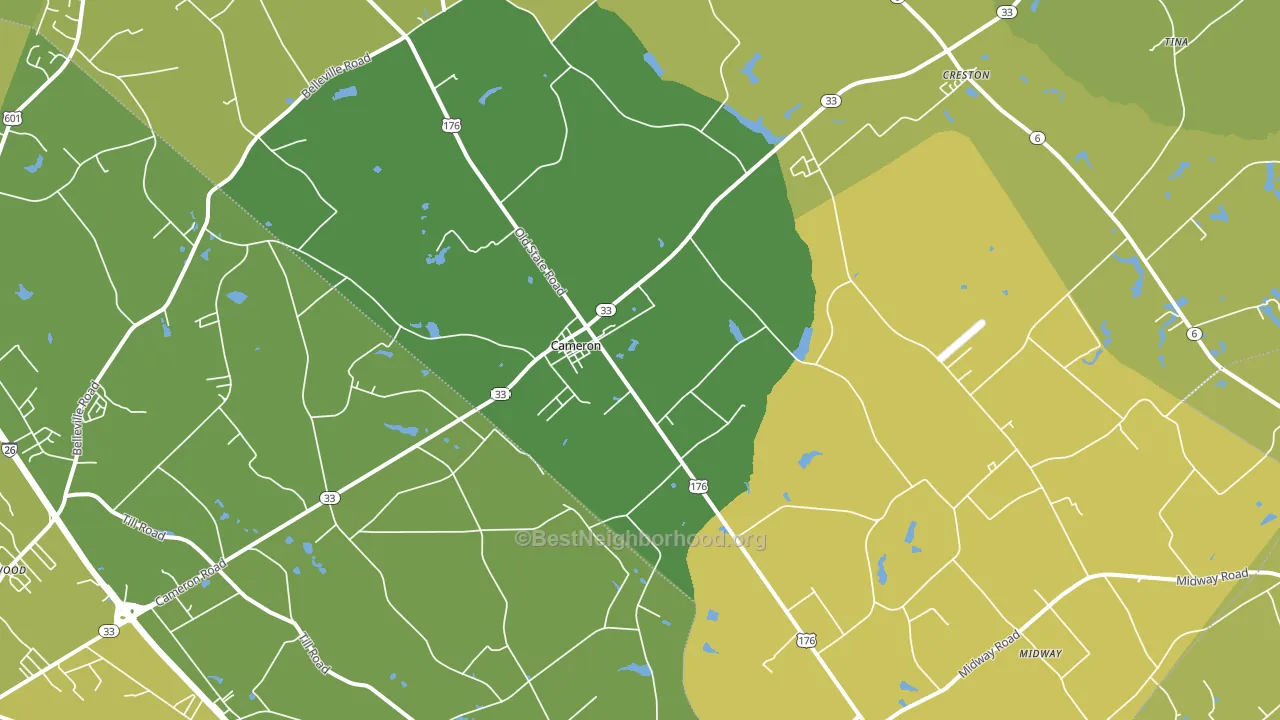 Cameron, SC block-group voter-turnout map