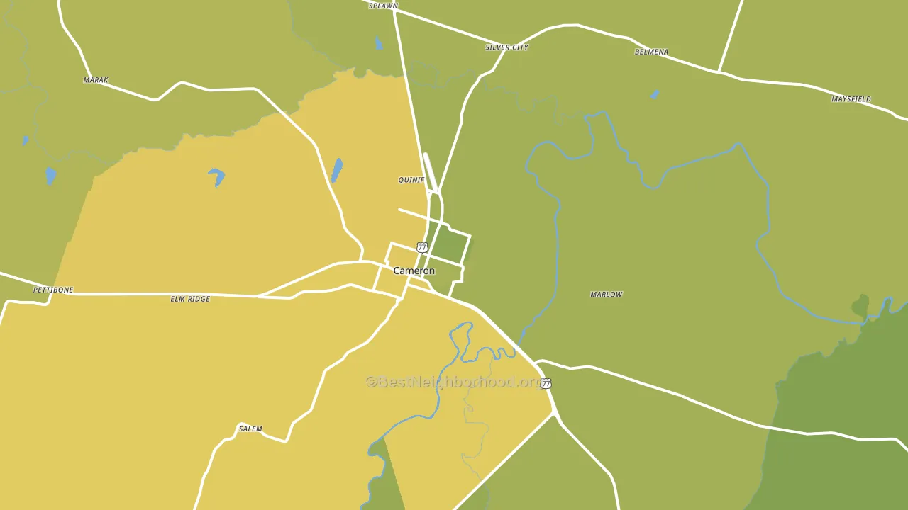 Cameron, TX block-group voter-turnout map