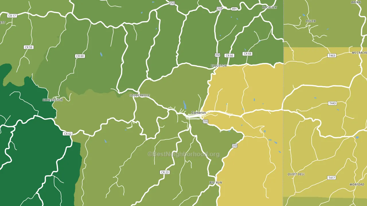 Cameron, WV block-group voter-turnout map