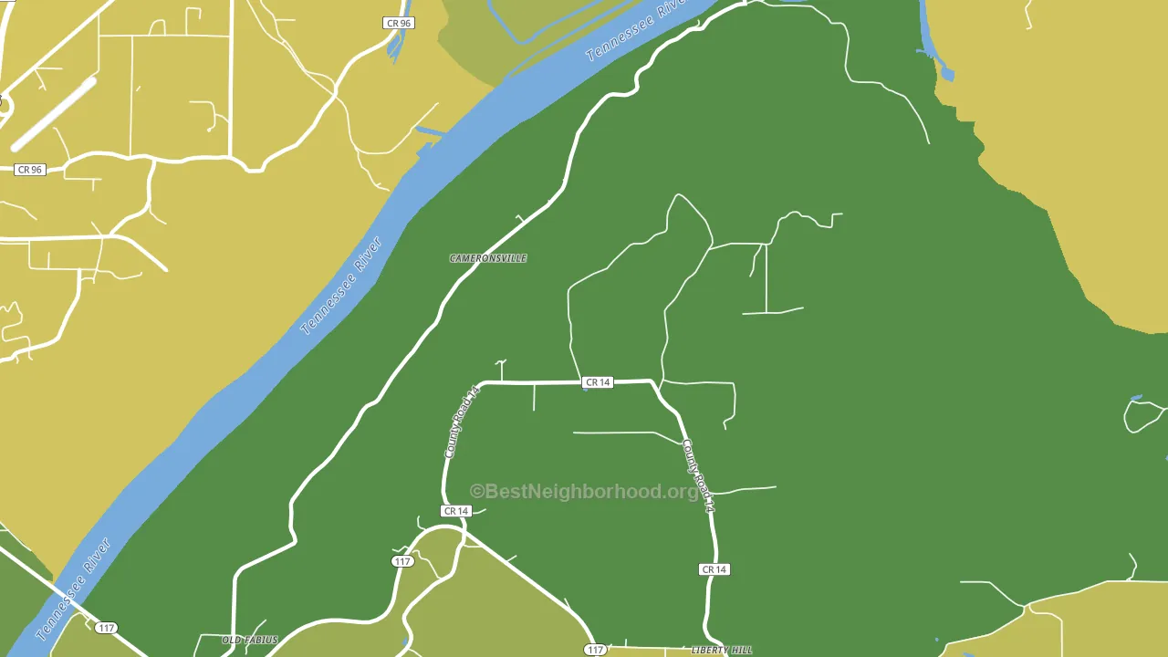 Cameronsville, AL block-group voter-turnout map