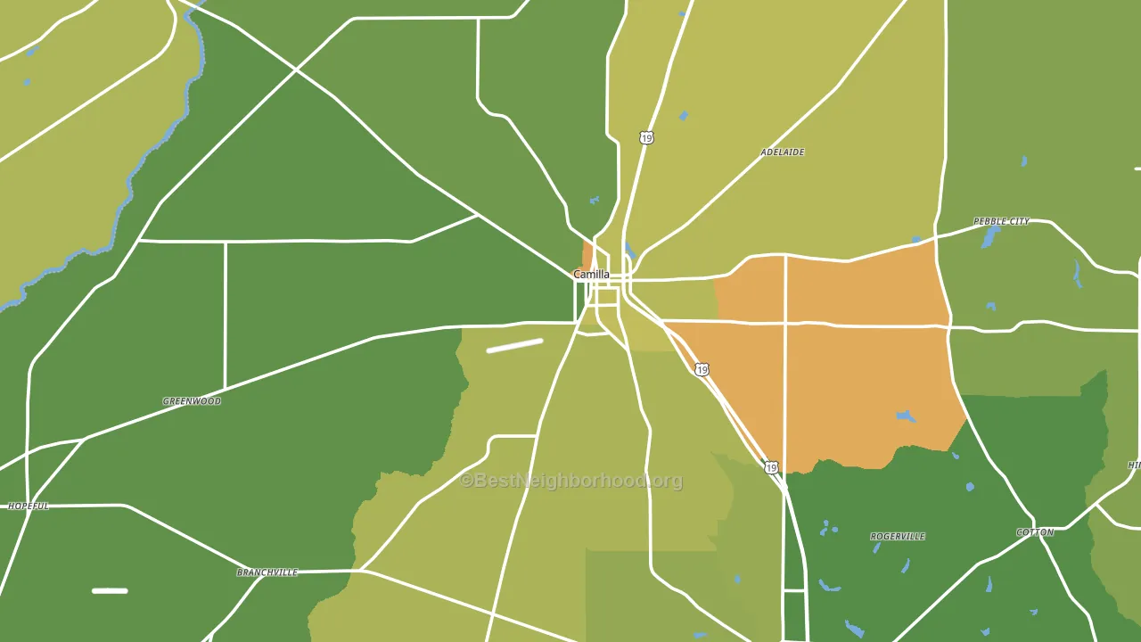 Camilla, GA block-group voter-turnout map