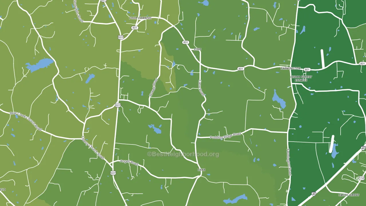 Cana, NC block-group voter-turnout map