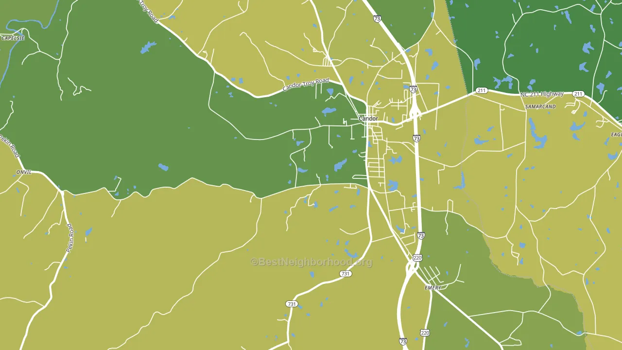 Candor, NC block-group voter-turnout map