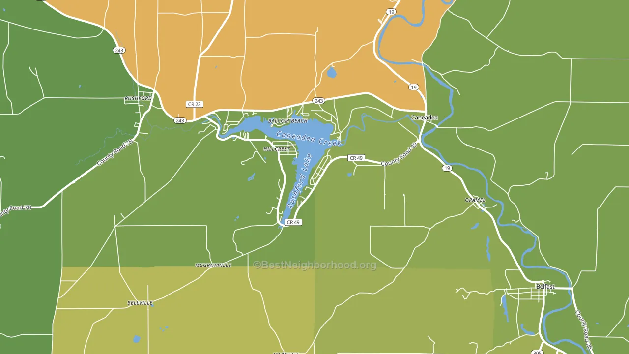 Caneadea, NY block-group voter-turnout map