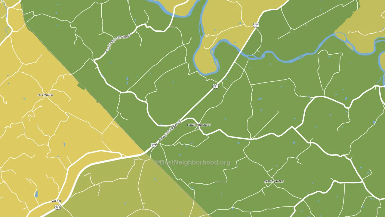Caney Branch, TN block-group voter-turnout map