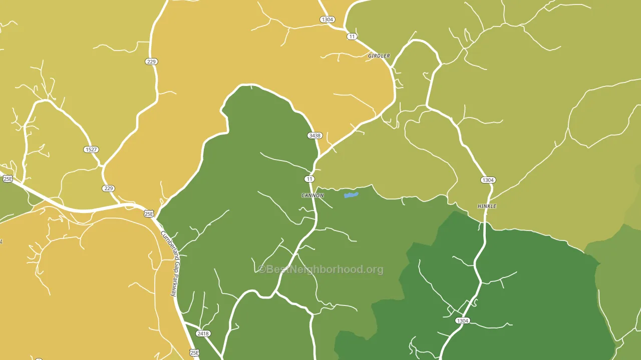 Cannon, KY block-group voter-turnout map