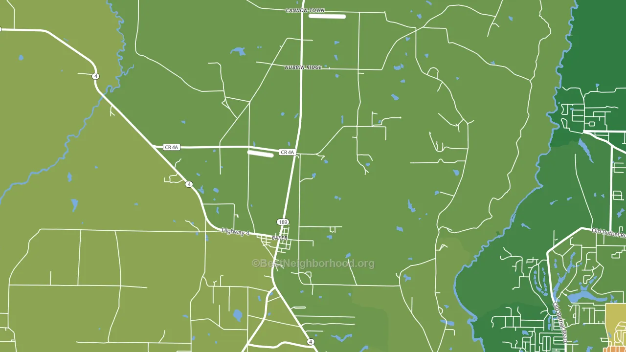 Cannon Town, FL block-group voter-turnout map