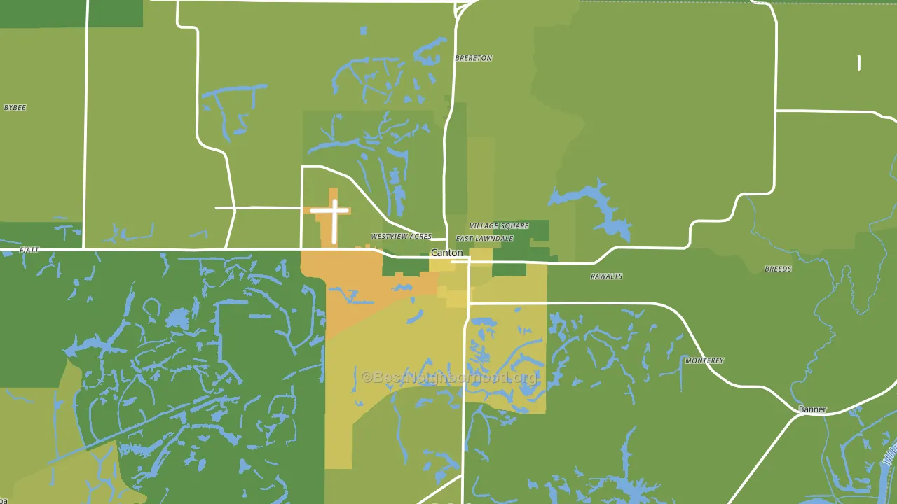 Canton, IL block-group voter-turnout map