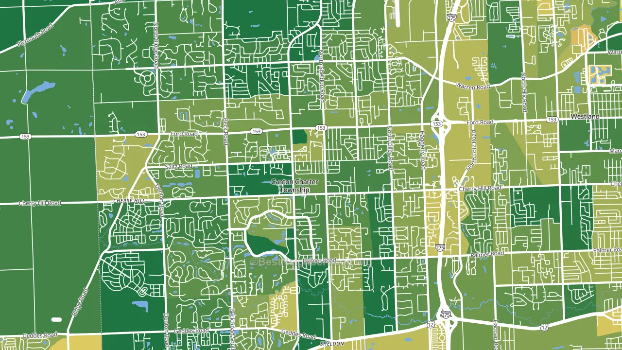 Canton, MI block-group voter-turnout map