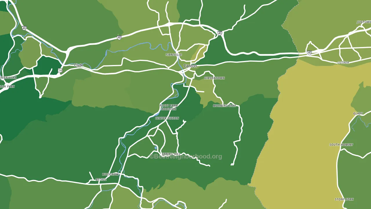 Canton, NC block-group voter-turnout map