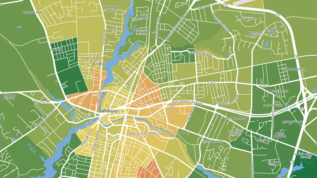 Canton, Salisbury, MD block-group voter-turnout map
