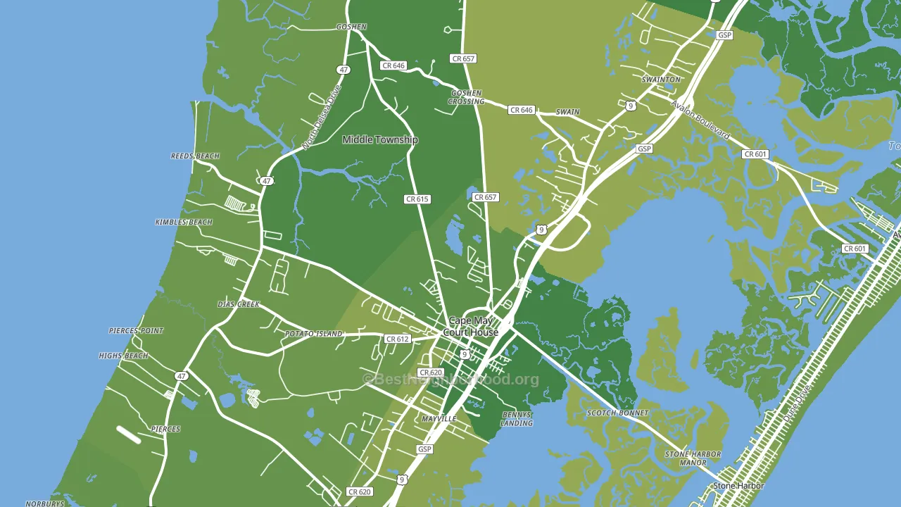 Cape May Court House, NJ block-group voter-turnout map