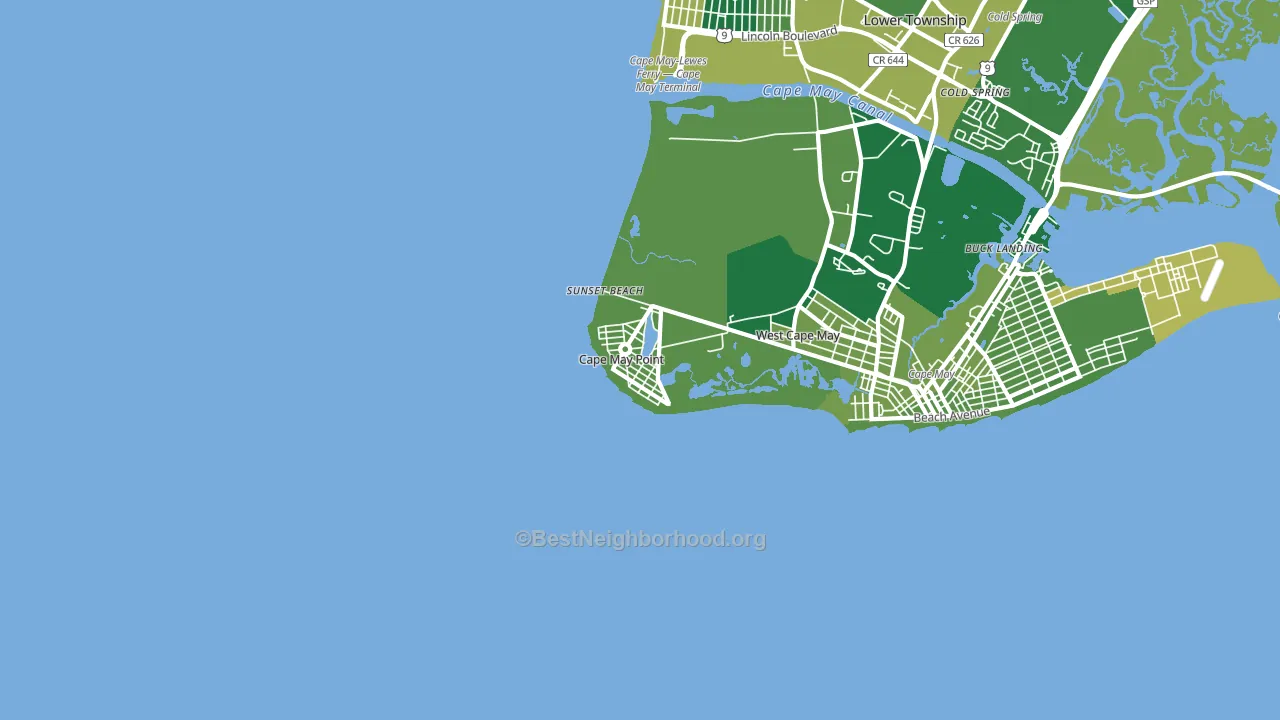 Cape May Point, NJ block-group voter-turnout map