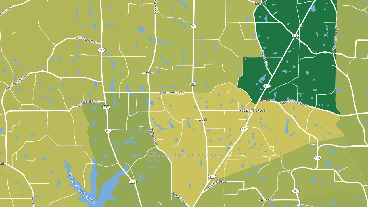 Capel, GA block-group voter-turnout map