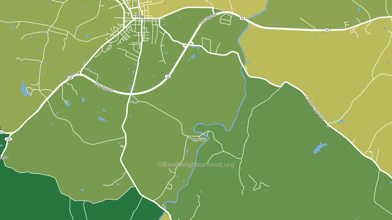 Capelsie, NC block-group voter-turnout map
