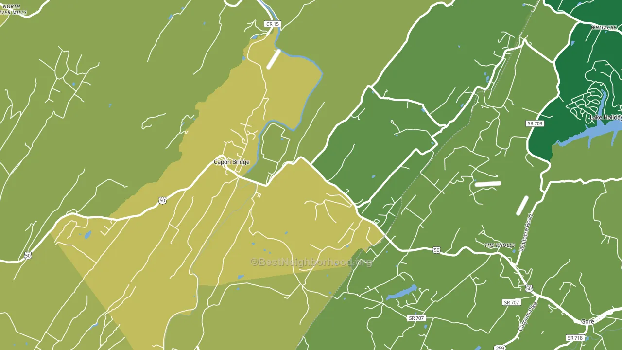 Capon Bridge, WV block-group voter-turnout map