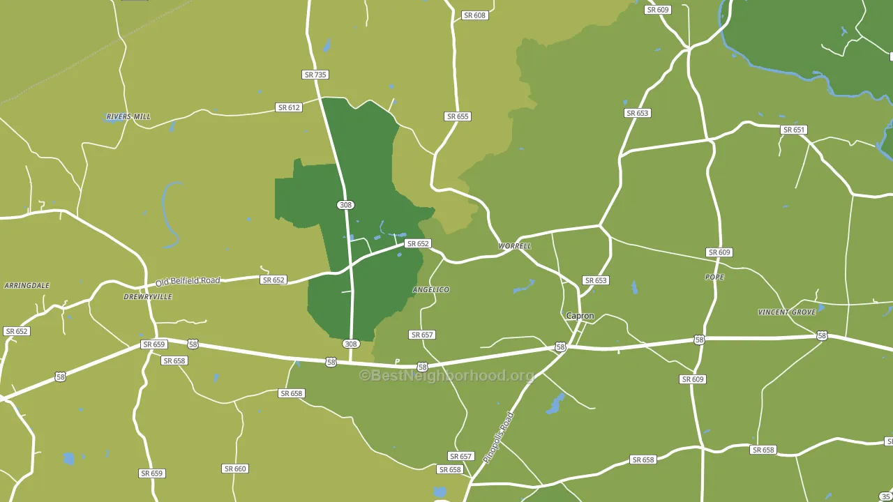 Capron, VA block-group voter-turnout map
