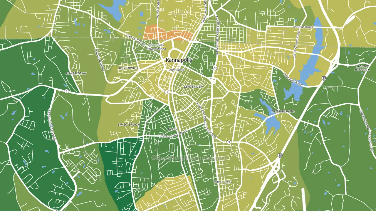 Car Town, Kannapolis, NC block-group voter-turnout map