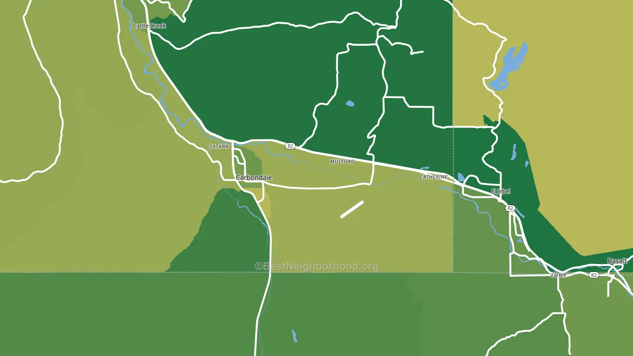 Carbondale, CO block-group voter-turnout map