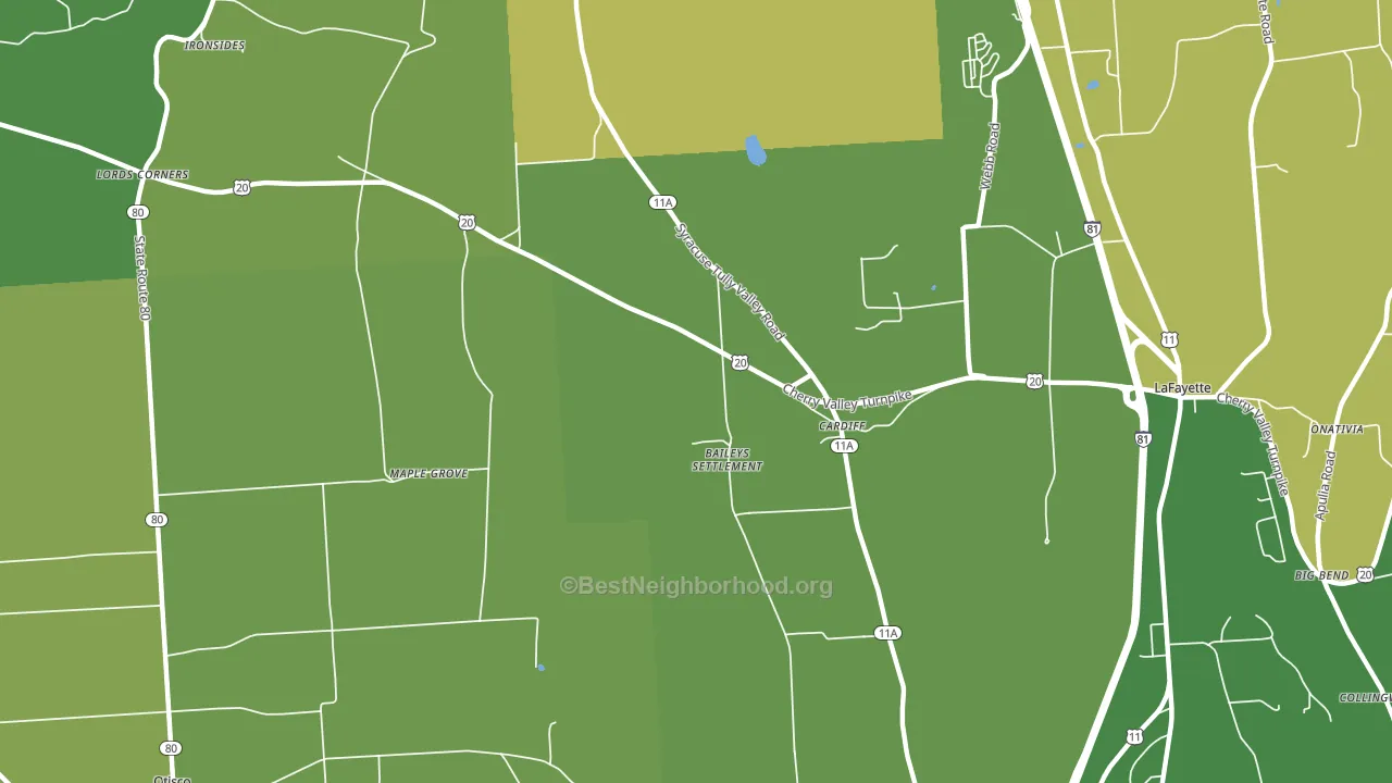 Cardiff, NY block-group voter-turnout map