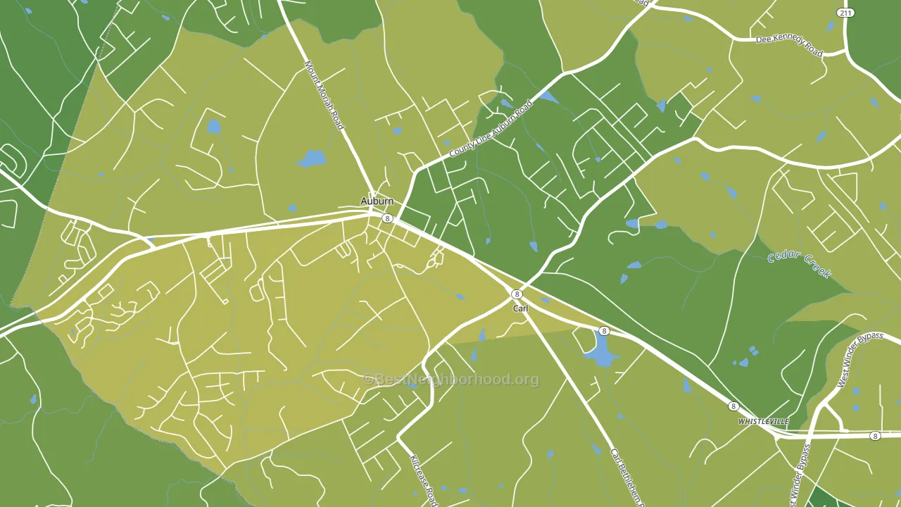 Carl, GA block-group voter-turnout map