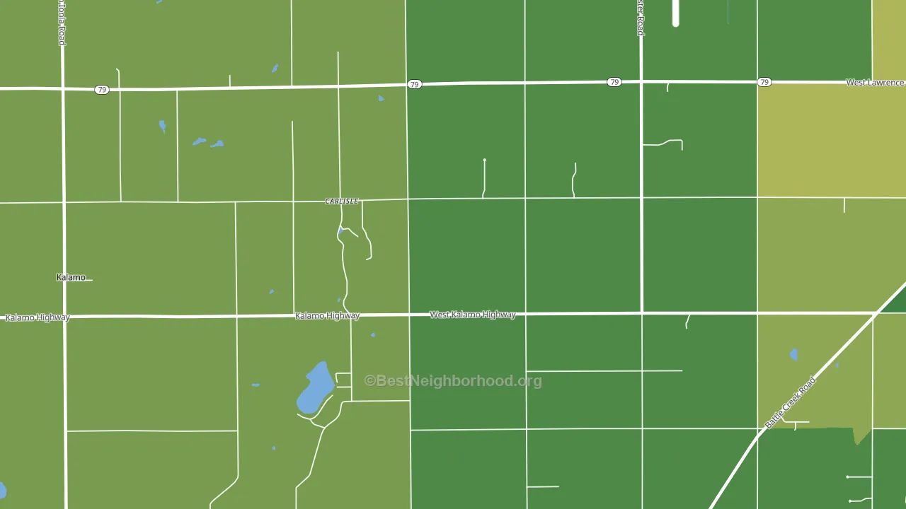Carlisle, MI block-group voter-turnout map
