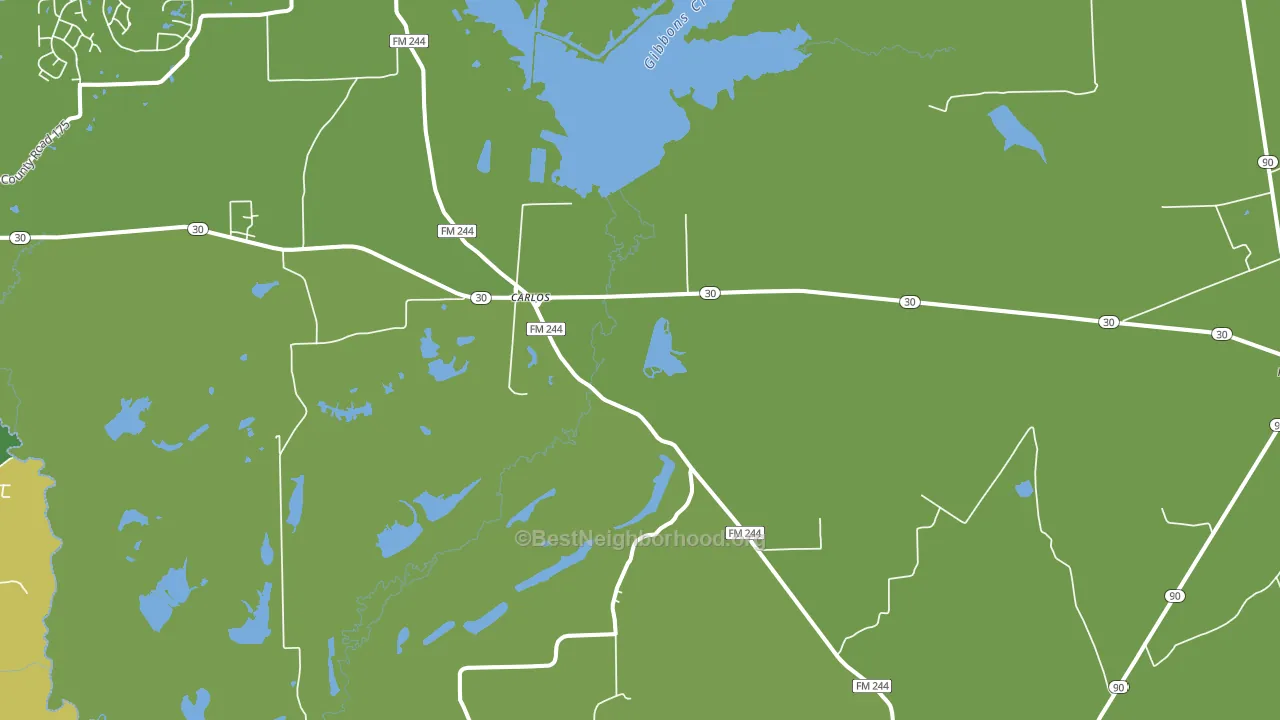 Carlos, TX block-group voter-turnout map
