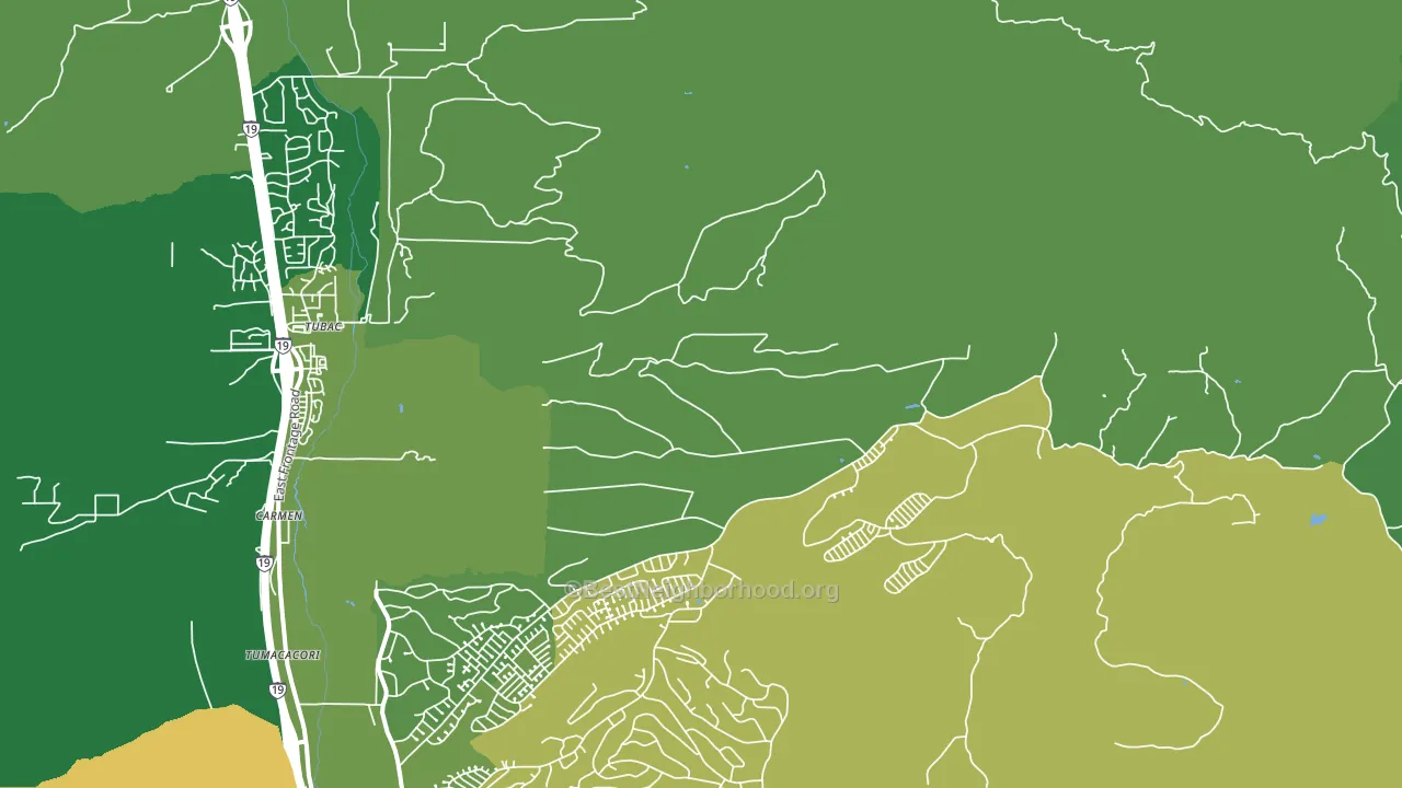 Carmen, AZ block-group voter-turnout map