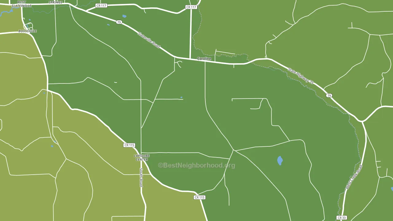 Caroline Center, NY block-group voter-turnout map