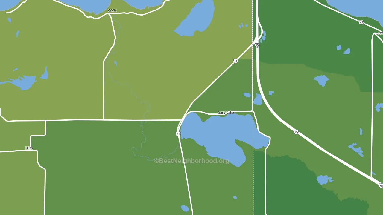 Carp Lake, MI block-group voter-turnout map