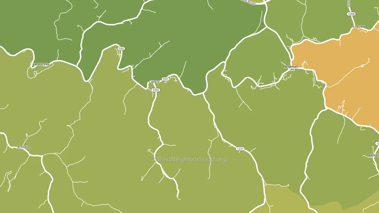 Carrie, KY block-group voter-turnout map