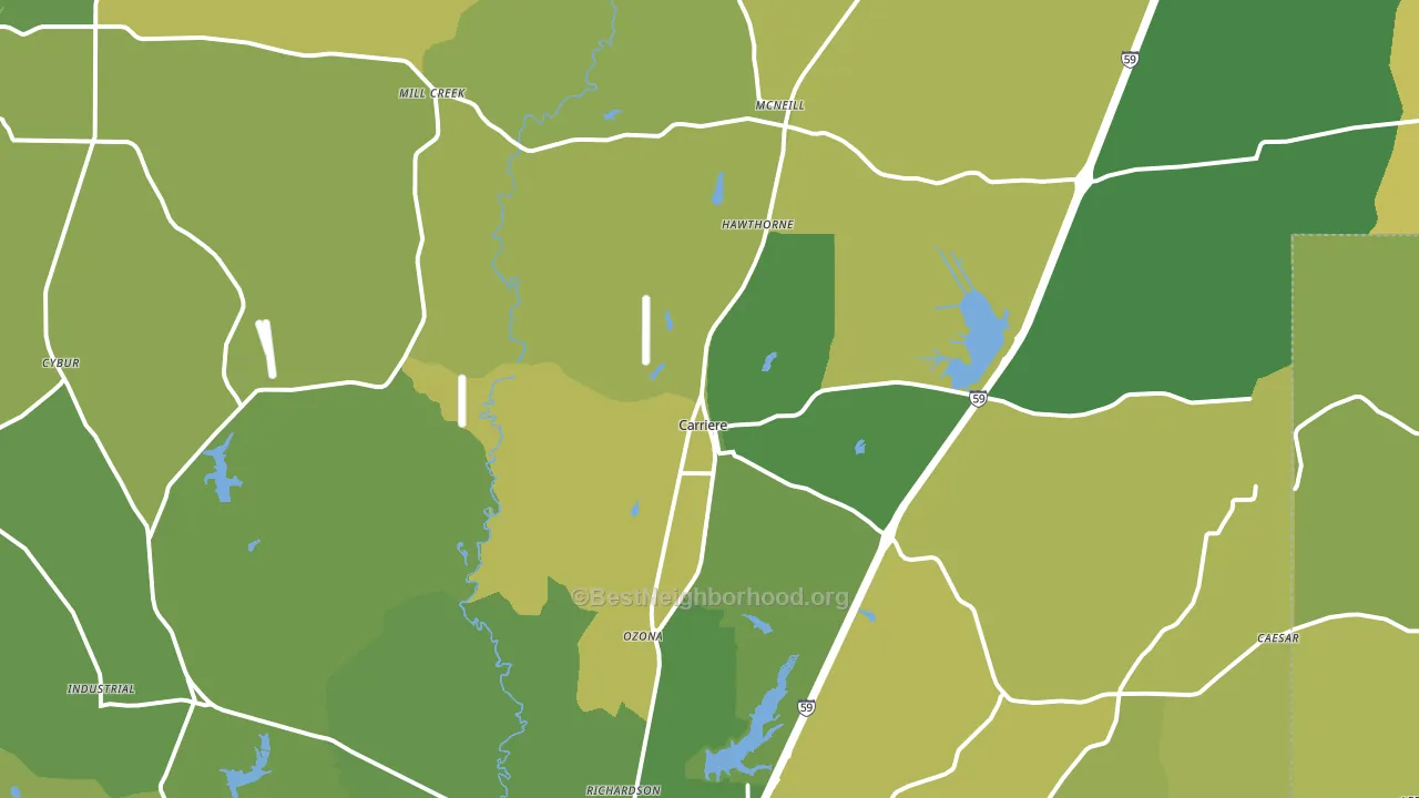 Carriere, MS block-group voter-turnout map