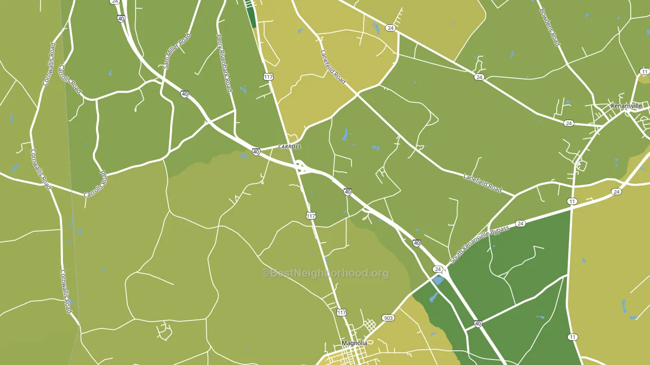 Carroll, NC block-group voter-turnout map