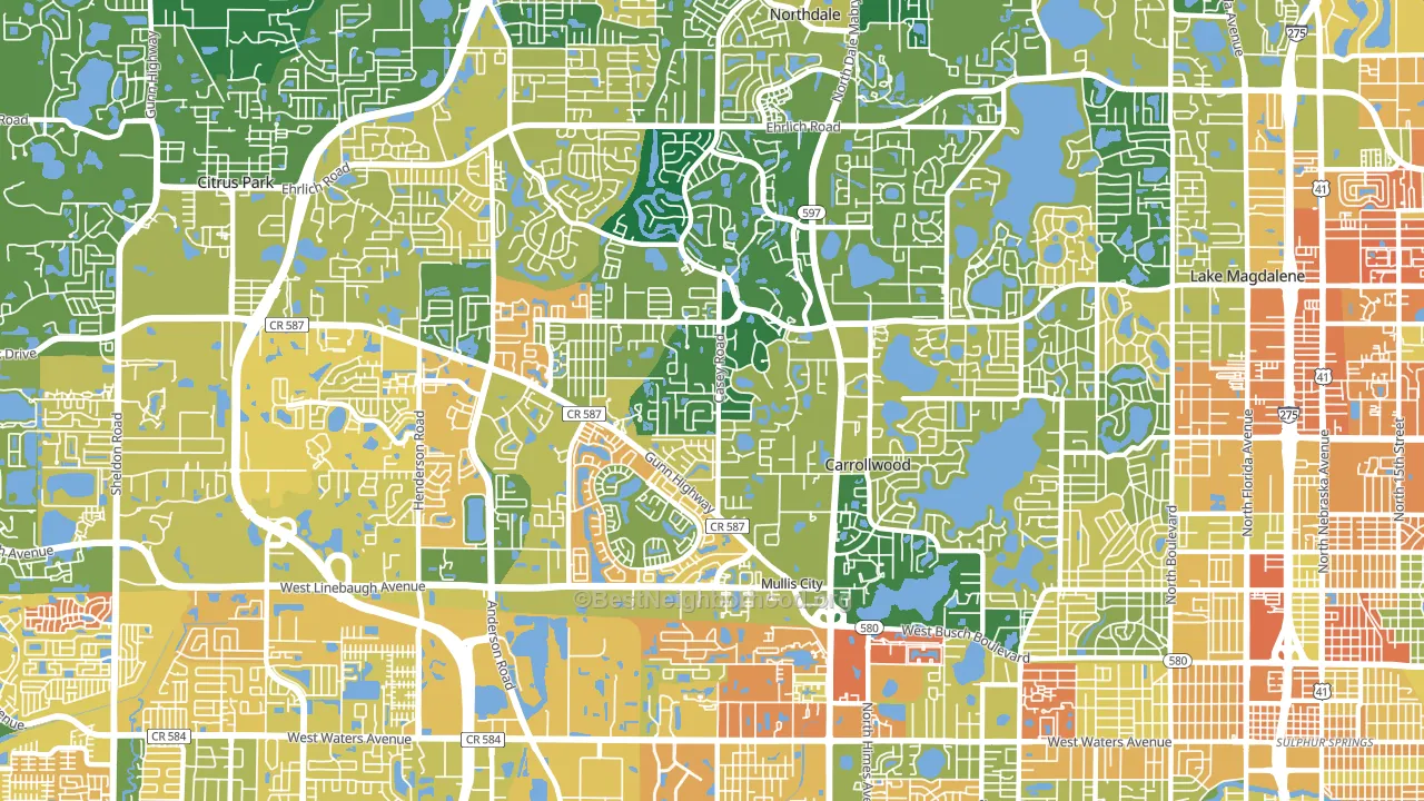 Carrollwood, Tampa, FL block-group voter-turnout map