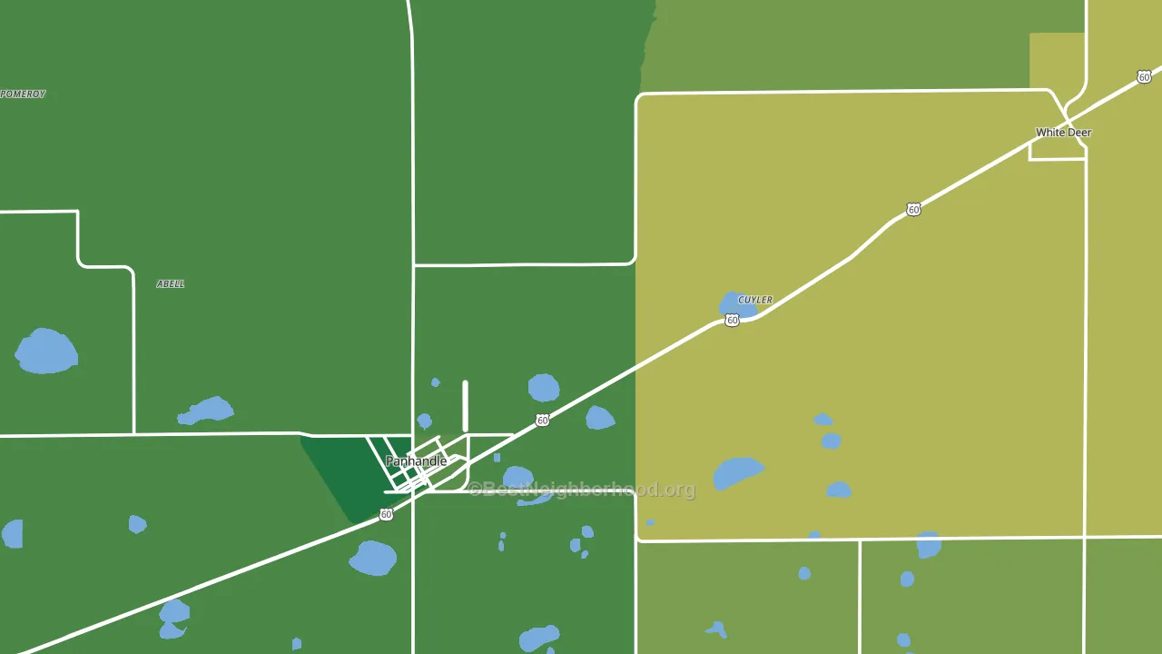 Carson County, TX block-group voter-turnout map