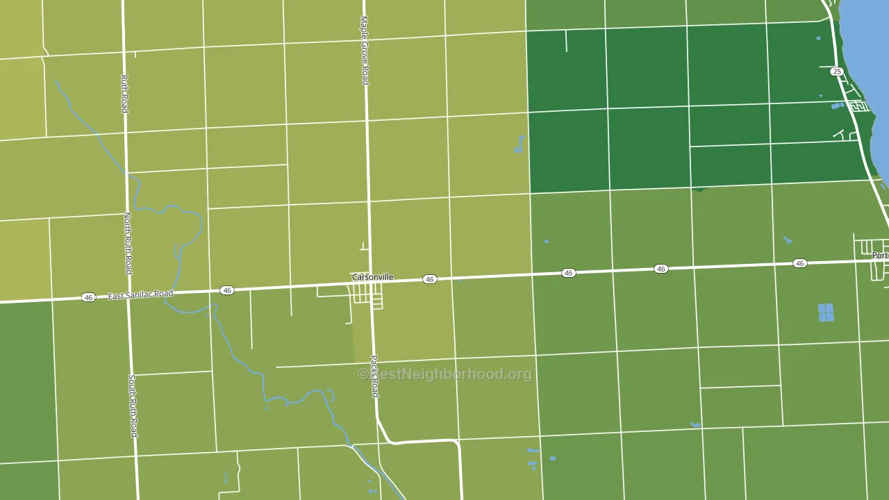 Carsonville, MI block-group voter-turnout map