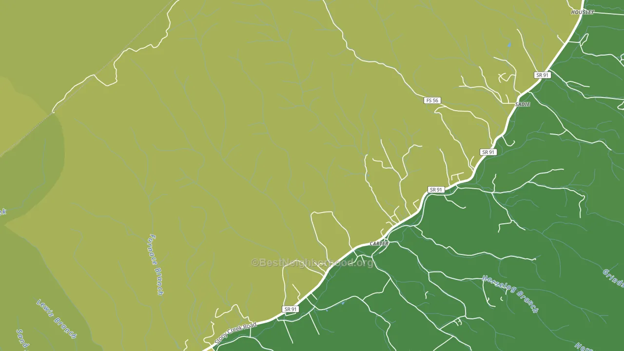 Carter, TN block-group voter-turnout map