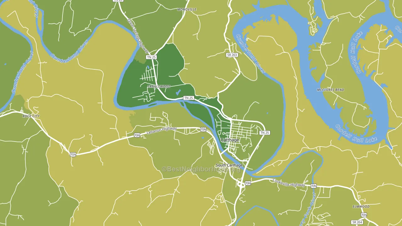 Carthage, TN block-group voter-turnout map