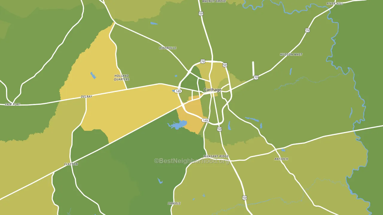 Carthage, TX block-group voter-turnout map