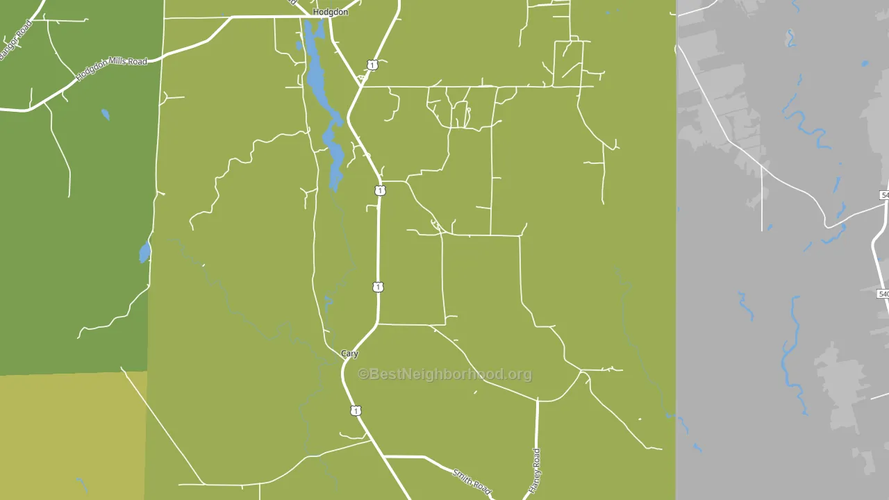 Cary, ME block-group voter-turnout map