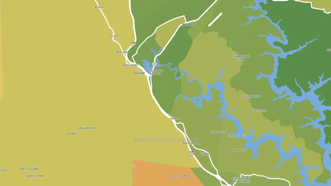 Caryville, TN block-group voter-turnout map