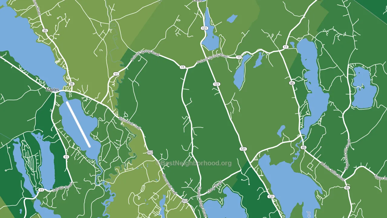 Casco, ME block-group voter-turnout map