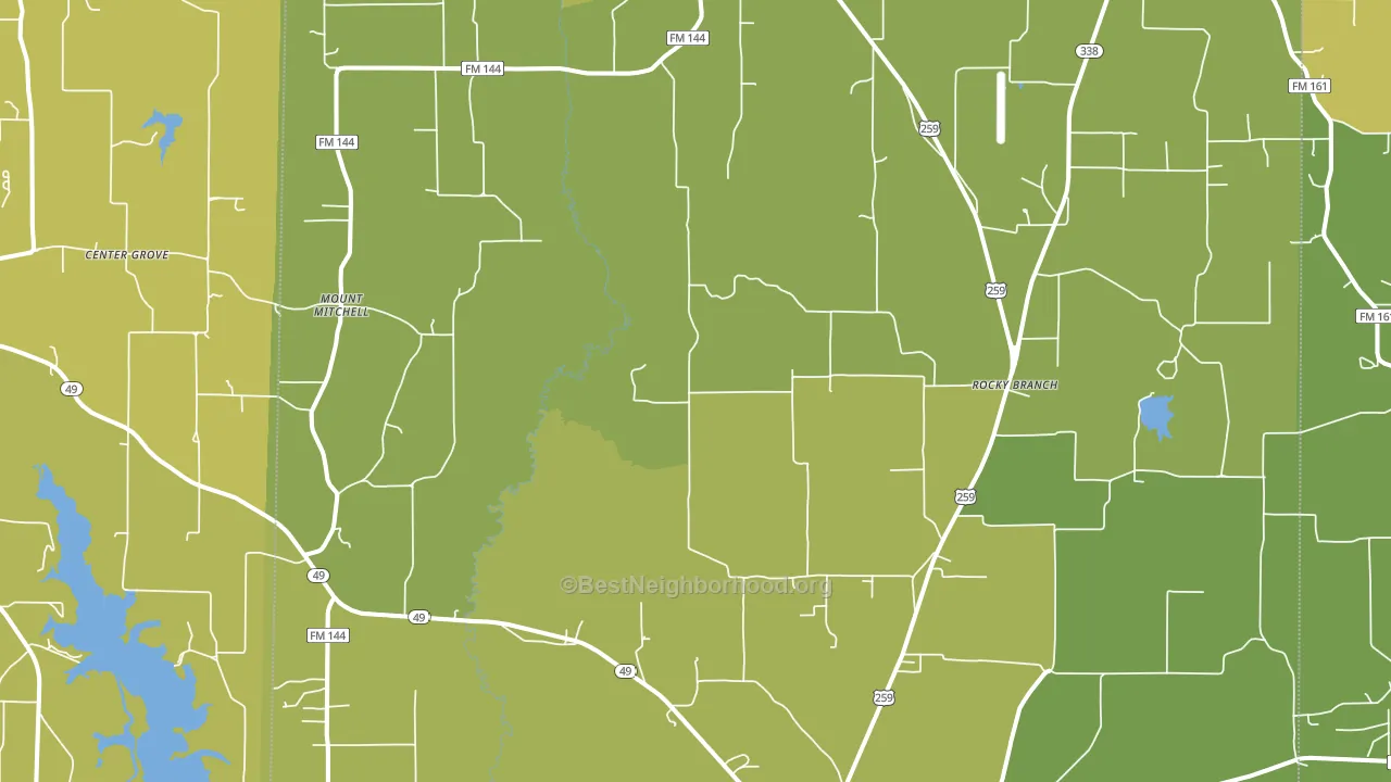 Cason, TX block-group voter-turnout map