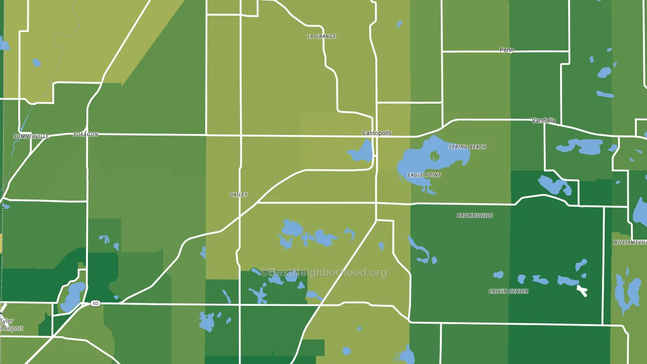 Cass County, MI block-group voter-turnout map