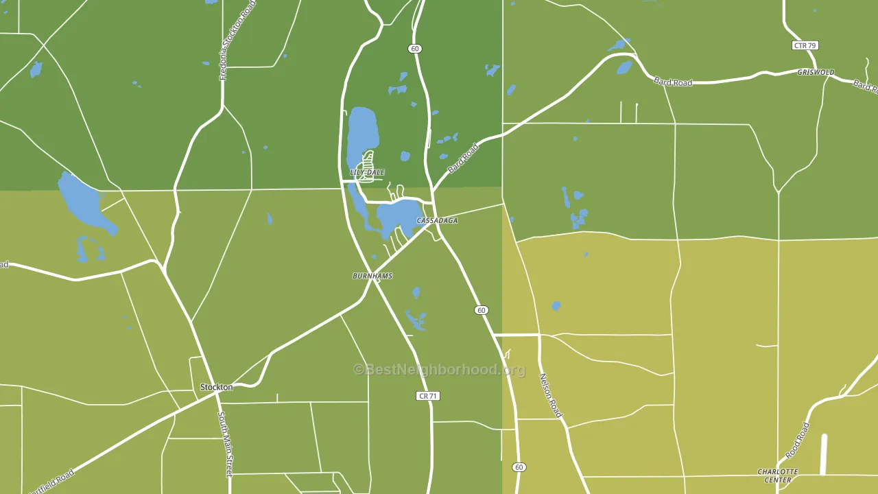 Cassadaga, NY block-group voter-turnout map