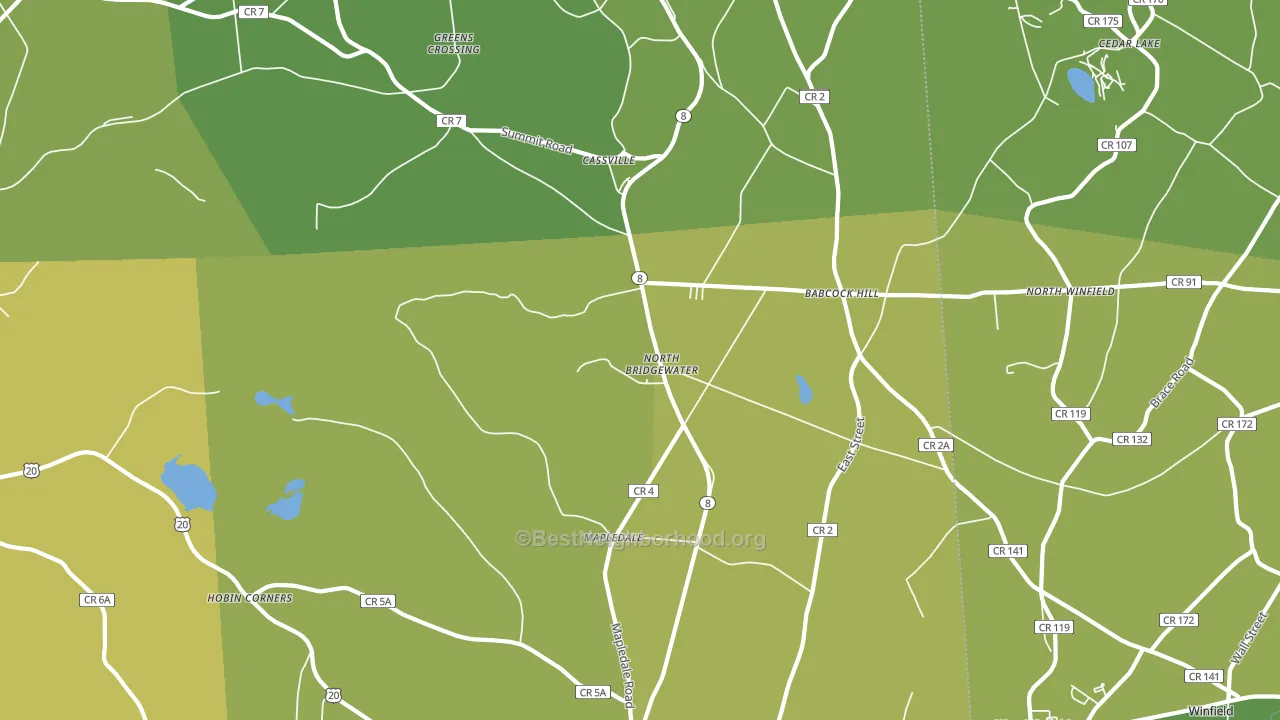 Cassville, NY block-group voter-turnout map