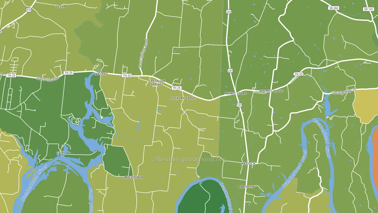 Castalian Springs, TN block-group voter-turnout map