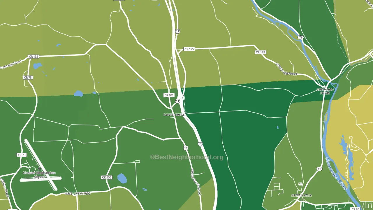 Castle Creek, NY block-group voter-turnout map