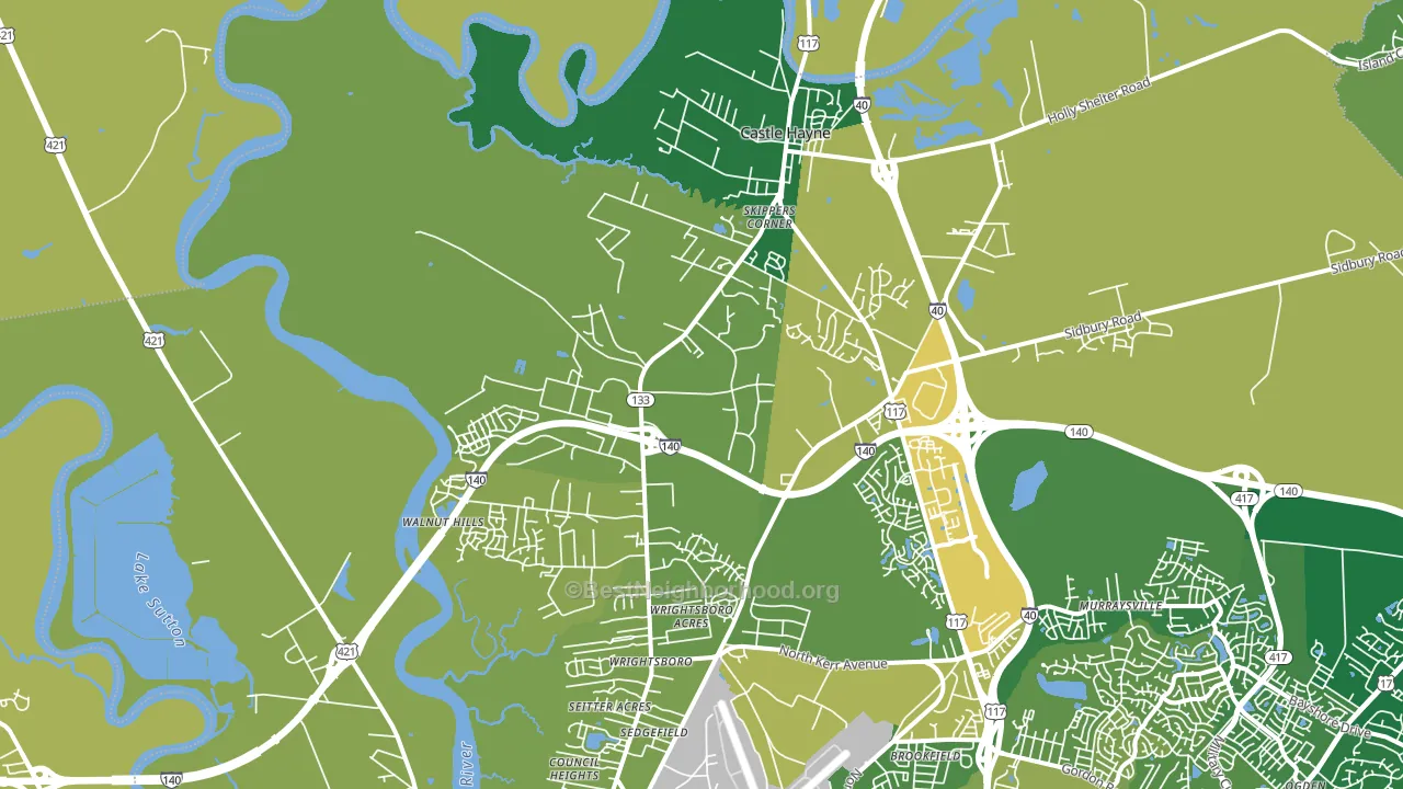 Castle Hayne, NC block-group voter-turnout map