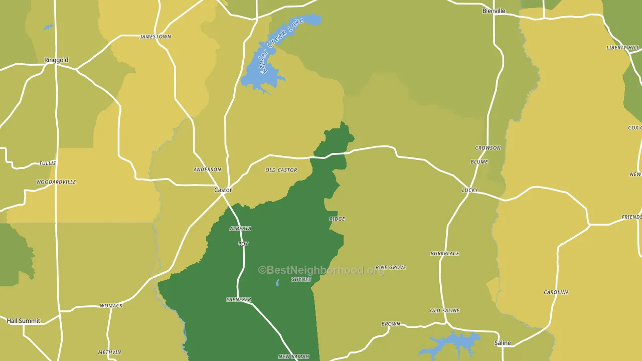 Castor, LA block-group voter-turnout map